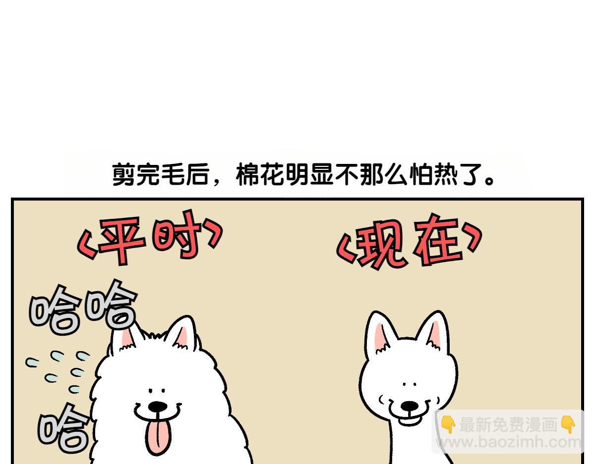 第2话 棉棒美容后记(1/2)-第70话