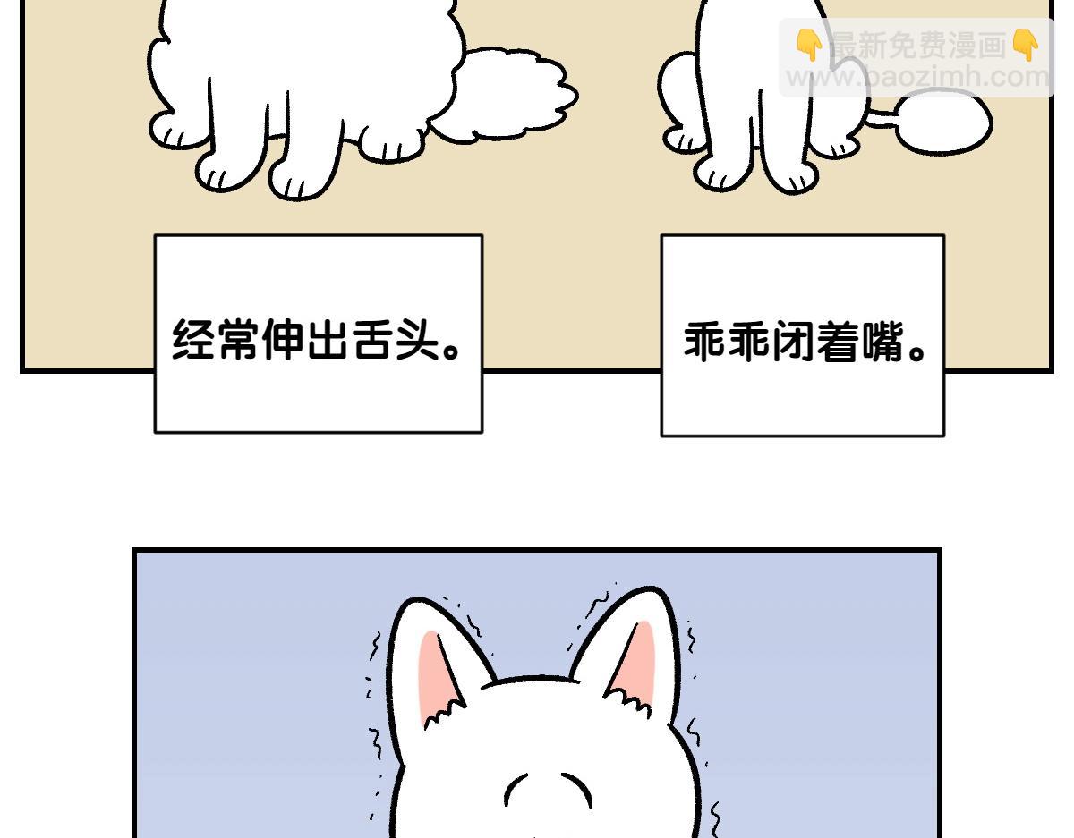 第2话 棉棒美容后记(1/2)-第70话