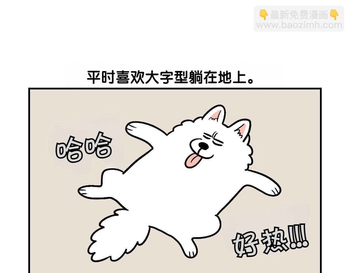 第2话 棉棒美容后记(1/2)-第70话