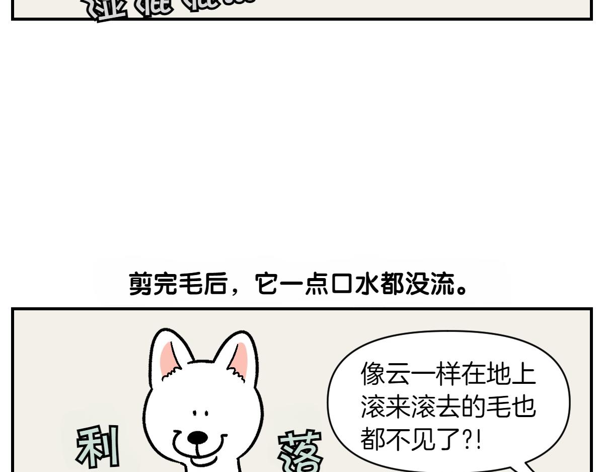 第2话 棉棒美容后记(1/2)-第70话