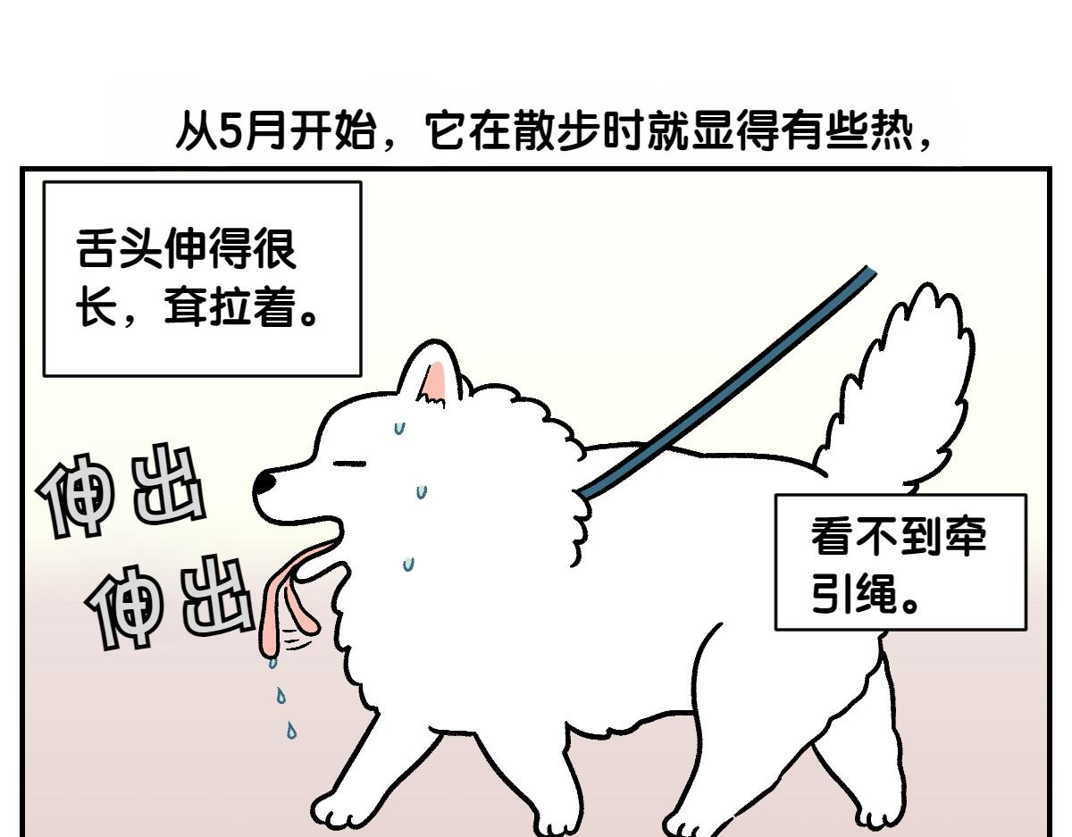 第2话 棉棒美容后记(1/2)-第70话