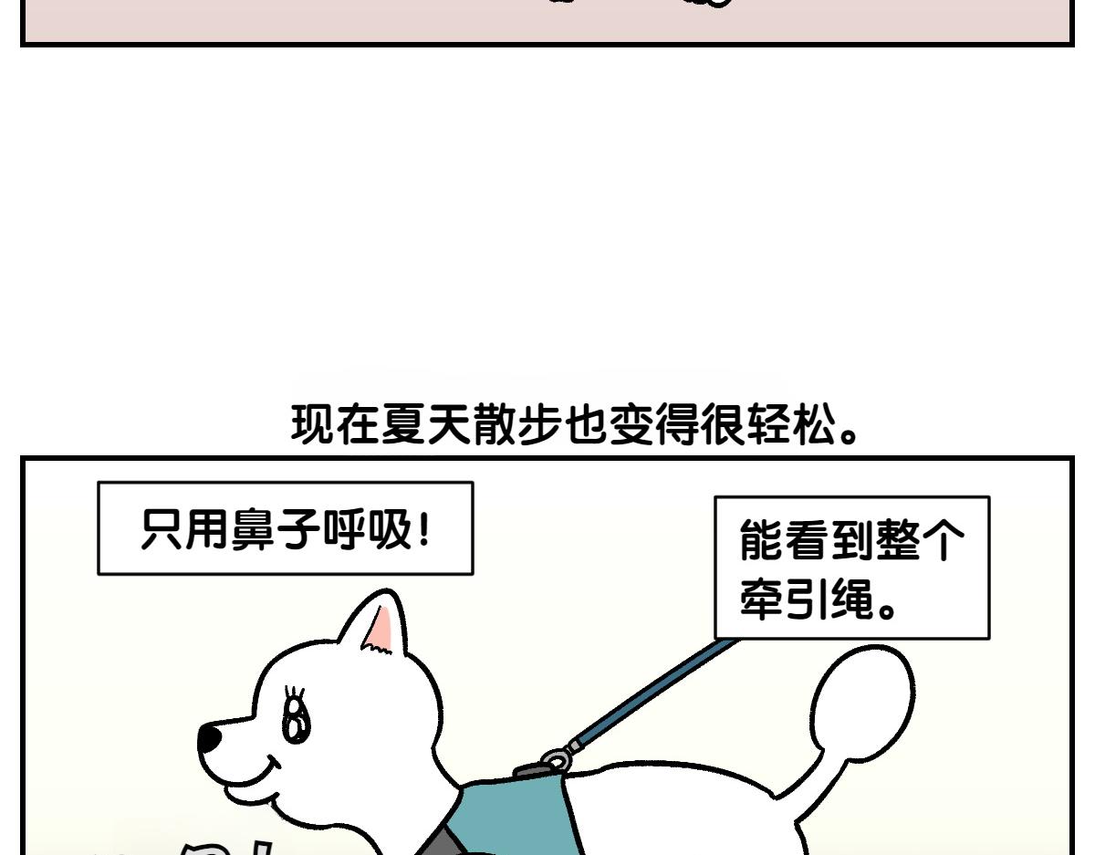 第2话 棉棒美容后记(1/2)-第70话