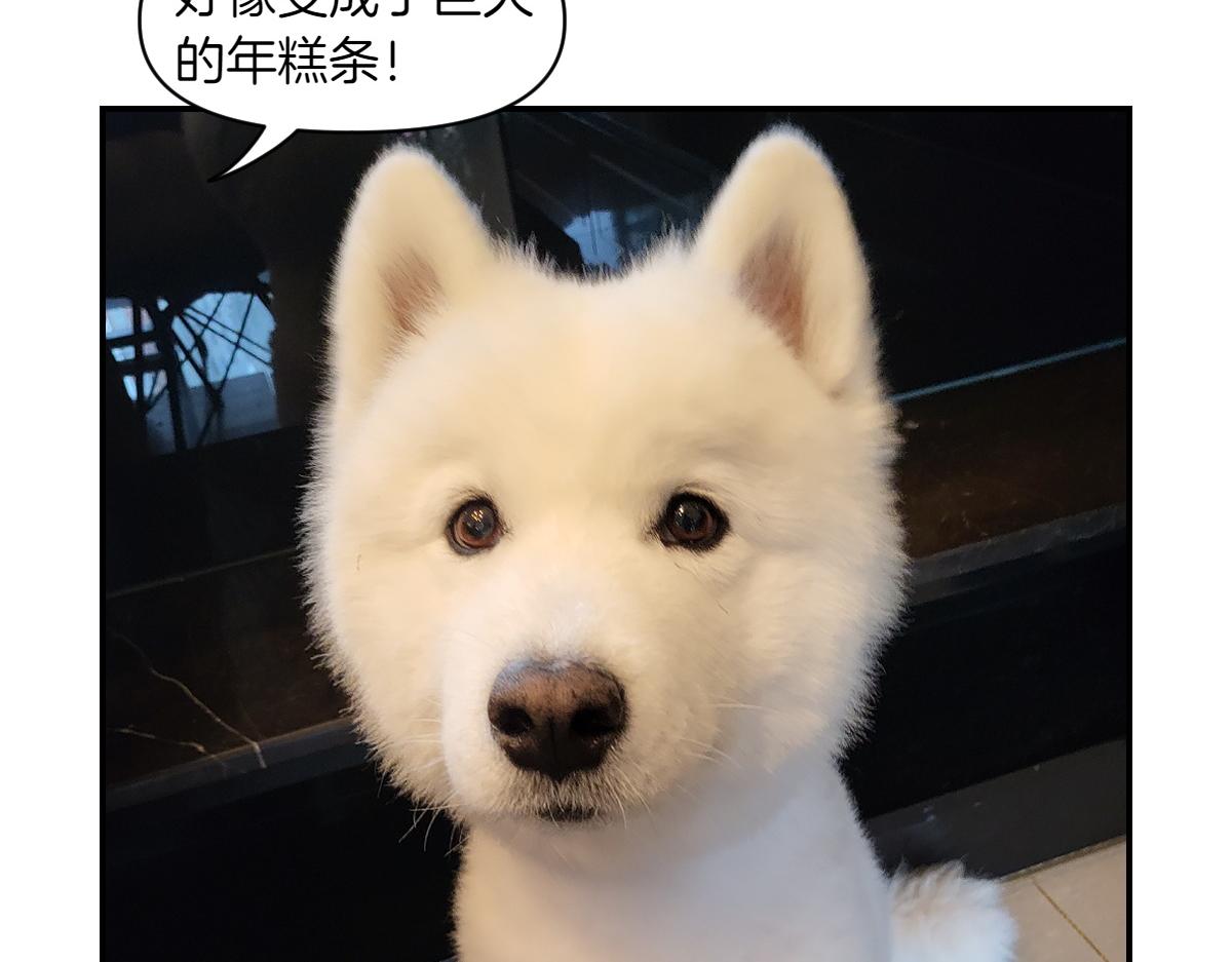 第2话 棉棒美容后记(1/2)-第70话