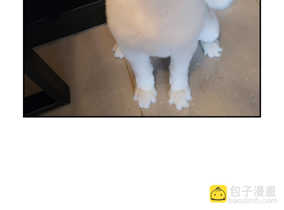 第2话 棉棒美容后记(1/2)-第70话