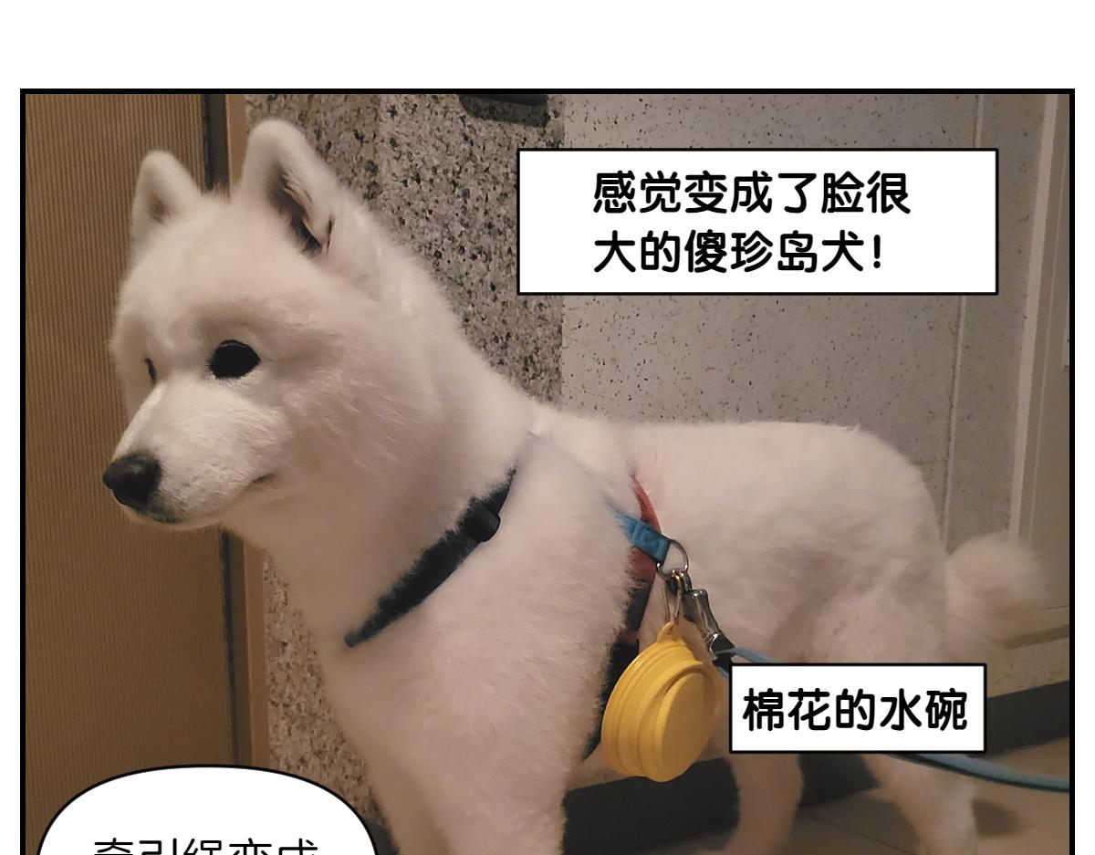 第2话 棉棒美容后记(1/2)-第70话