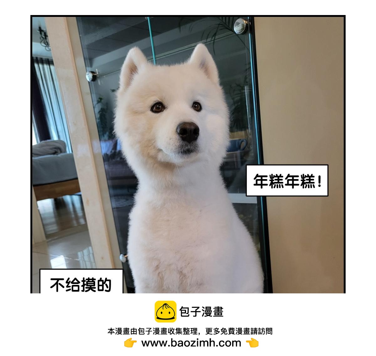 第2话 棉棒美容后记(1/2)-第70话