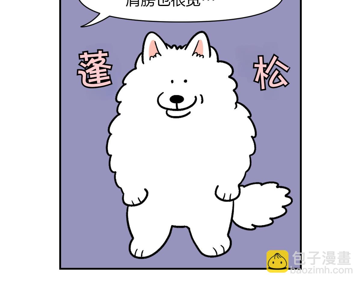 第2话 棉棒美容后记(1/2)-第70话