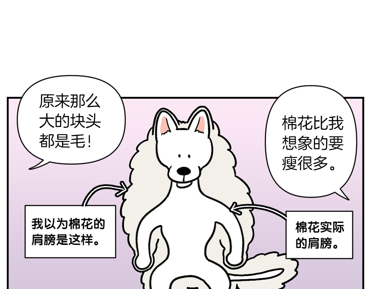 第2话 棉棒美容后记(1/2)-第70话