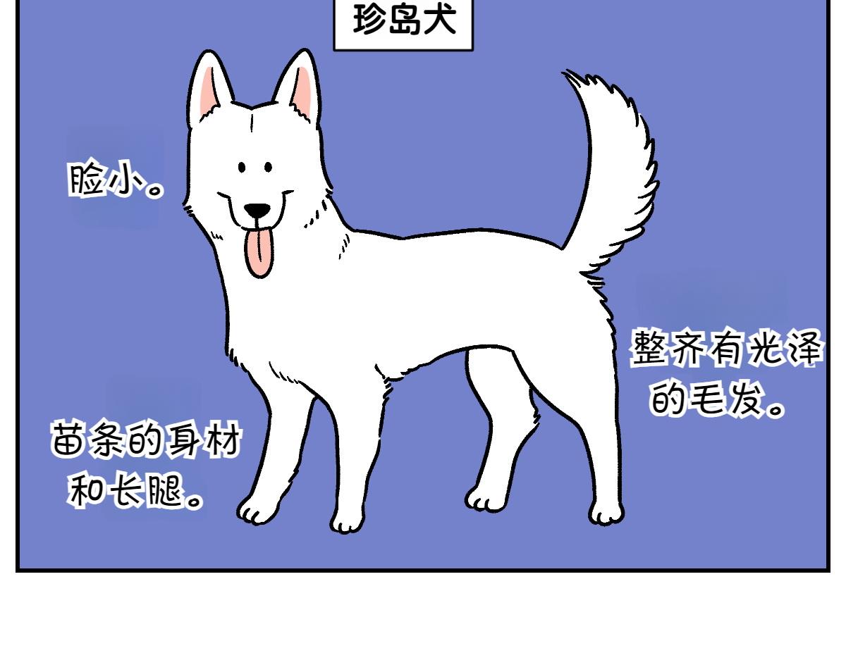 第4话 自助美容(1/2)-第72话