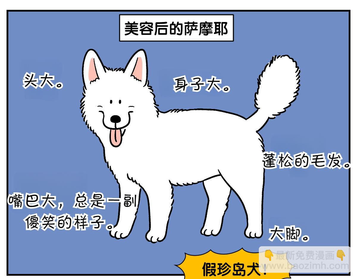 第4话 自助美容(1/2)-第72话