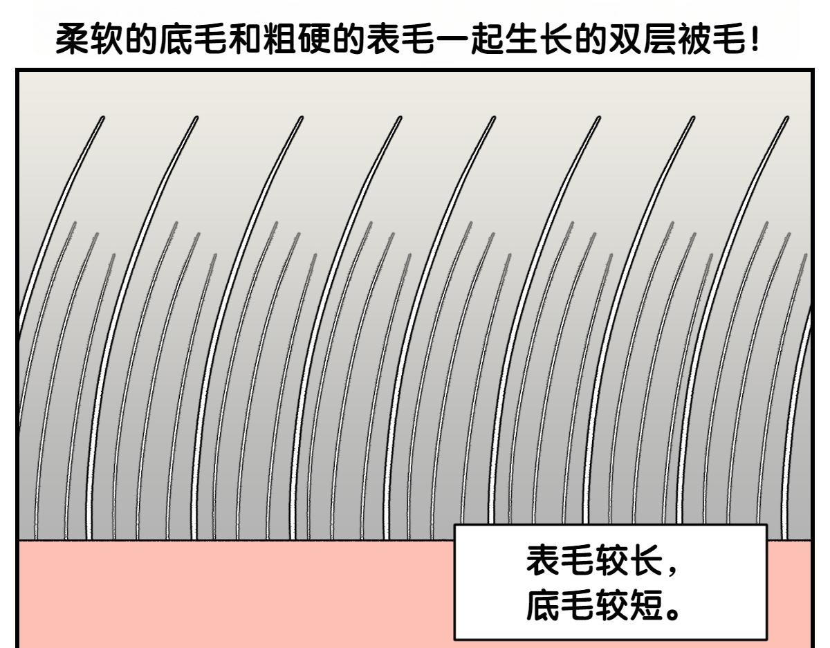 第4话 自助美容(1/2)-第72话