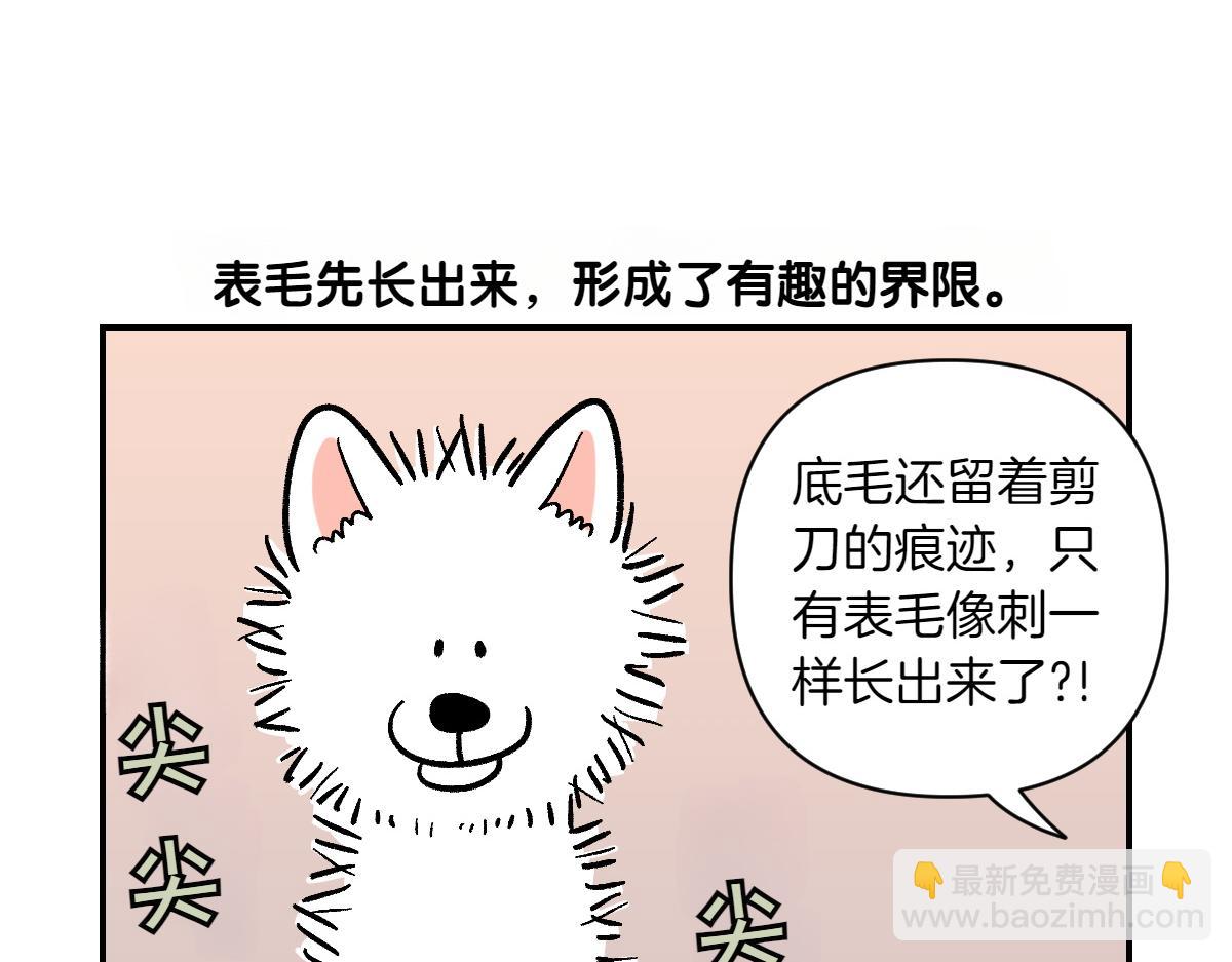 第4话 自助美容(1/2)-第72话