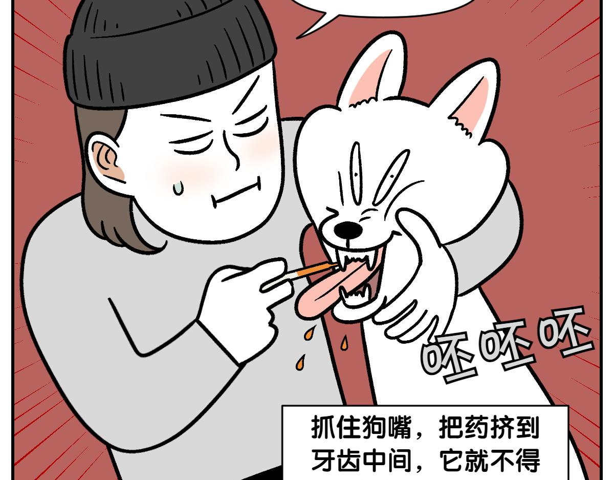 第6话 喂狗狗吃药粉的方法(1/2)-第74话