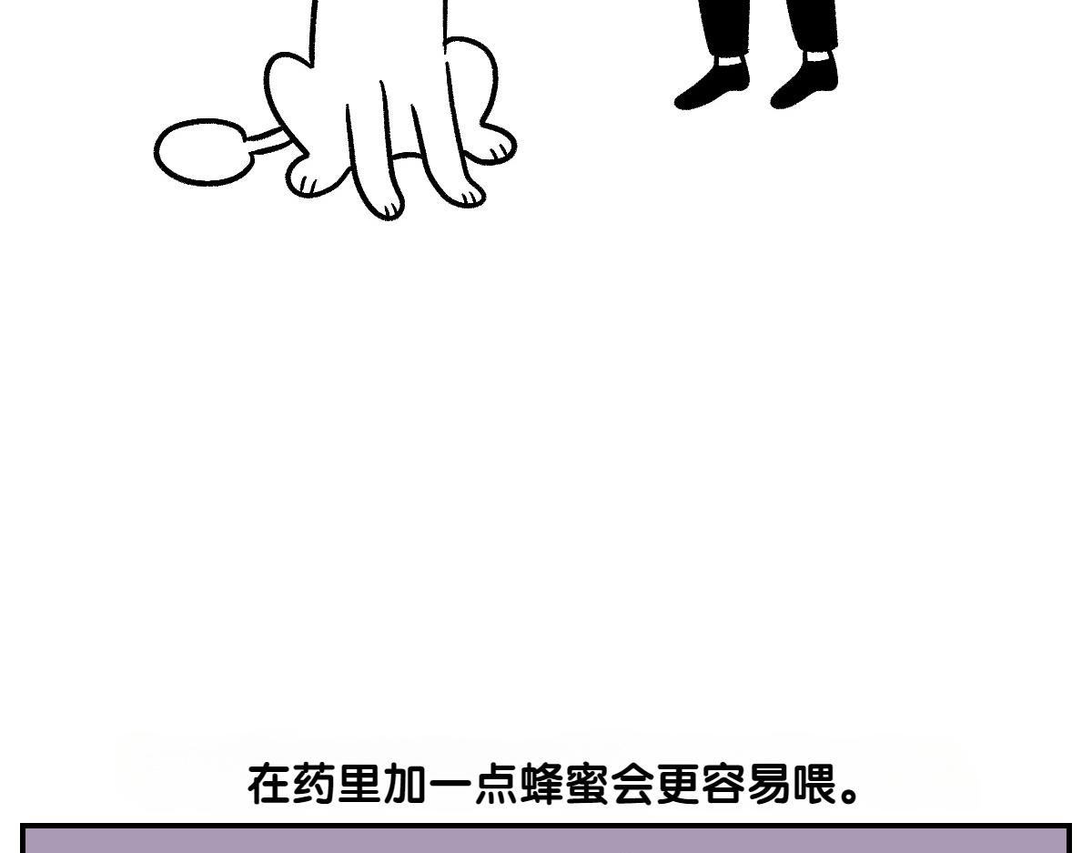 第6话 喂狗狗吃药粉的方法(1/2)-第74话