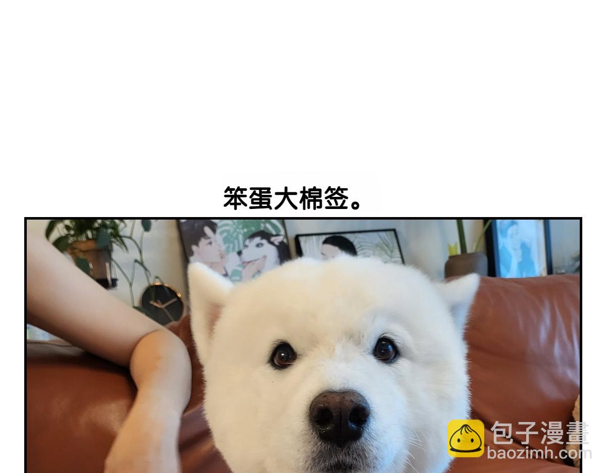 第6话 喂狗狗吃药粉的方法(1/2)-第74话