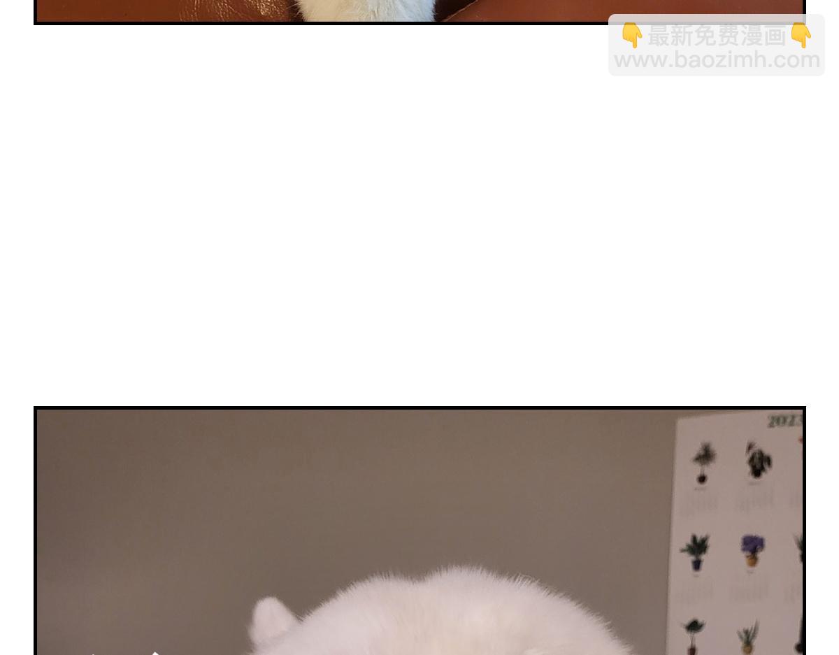 第6话 喂狗狗吃药粉的方法(1/2)-第74话