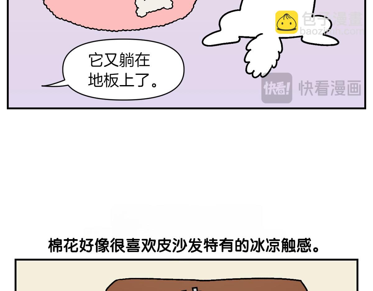 第8话 棉花的专属位置-第76话