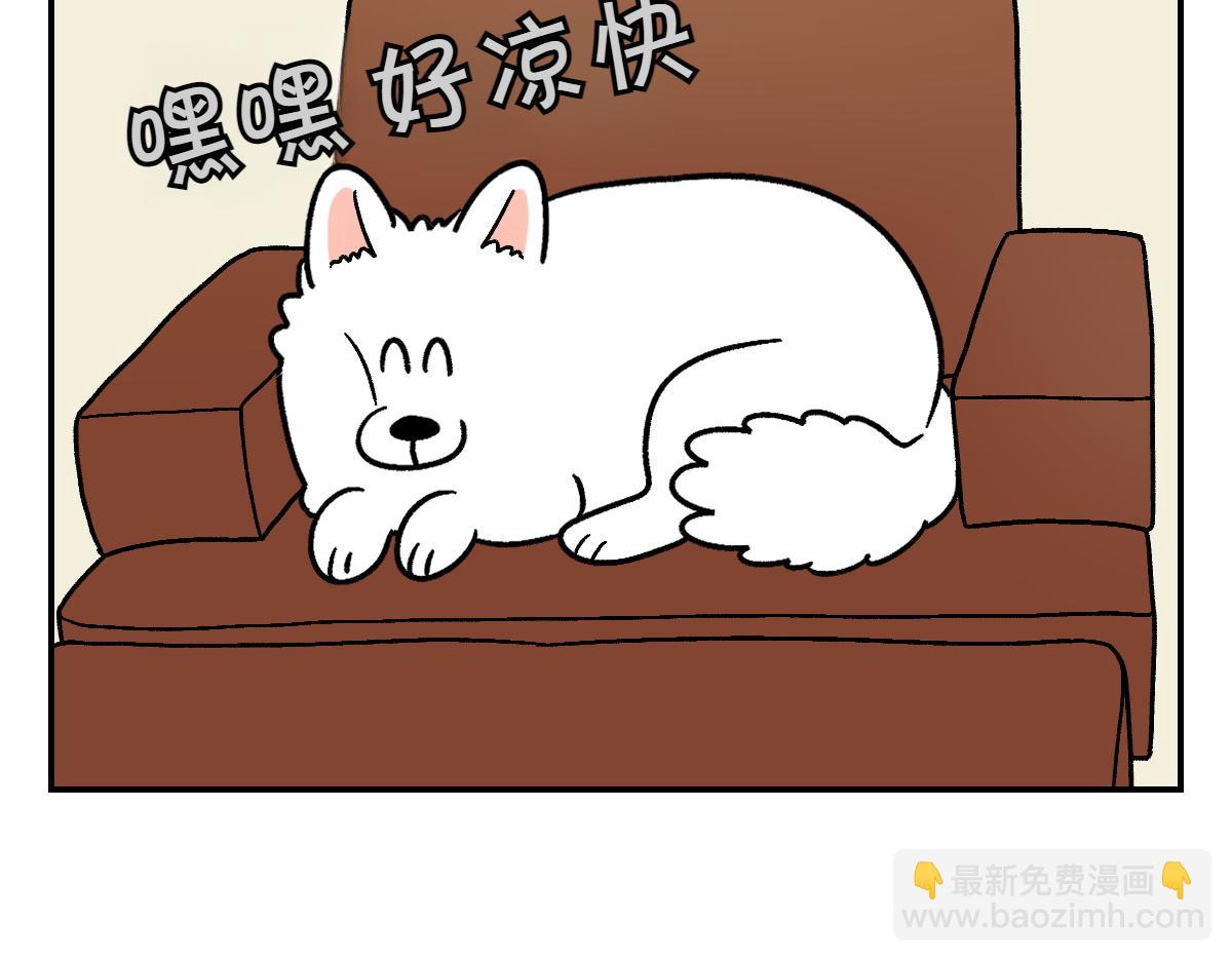 第8话 棉花的专属位置-第76话