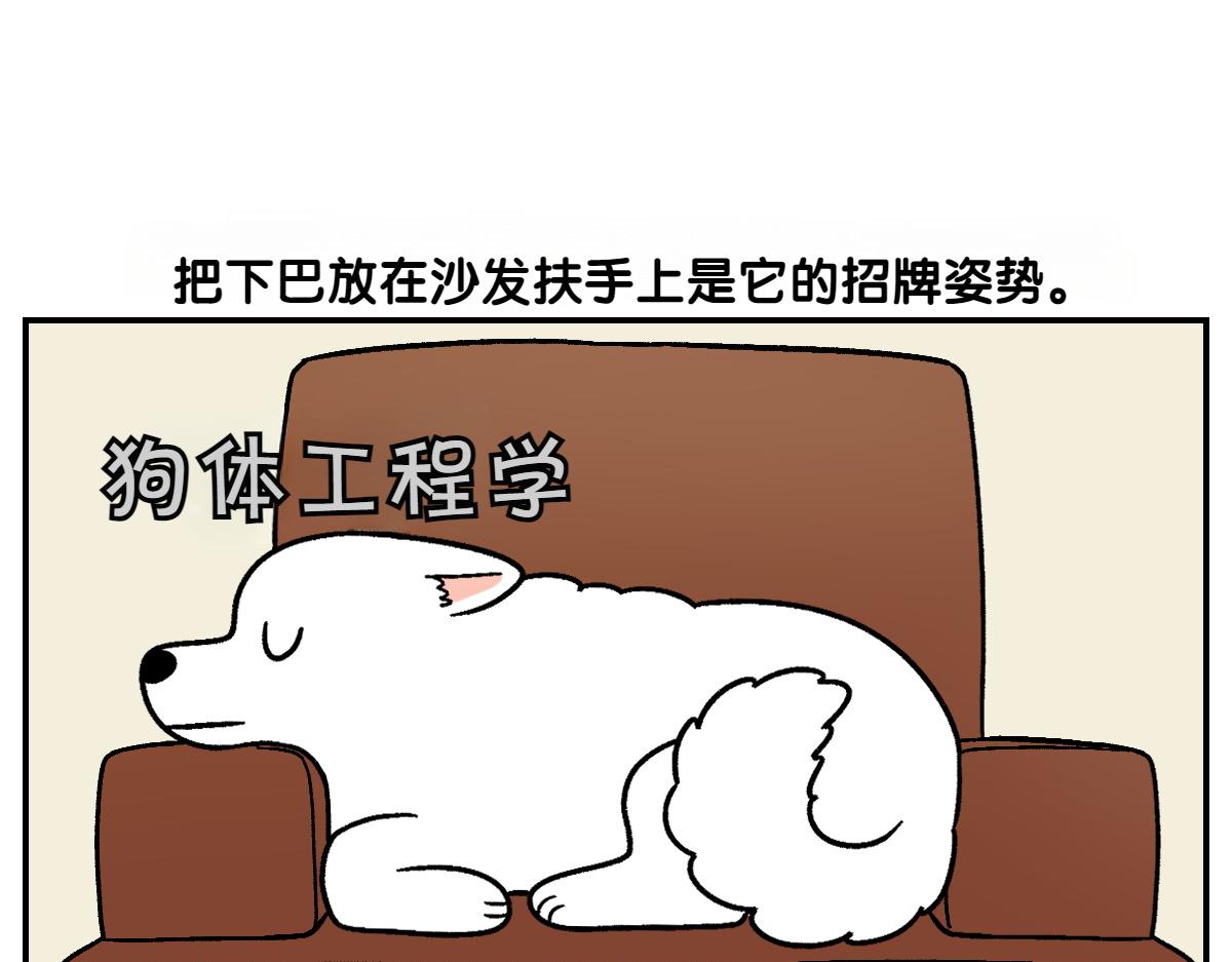 第8话 棉花的专属位置-第76话