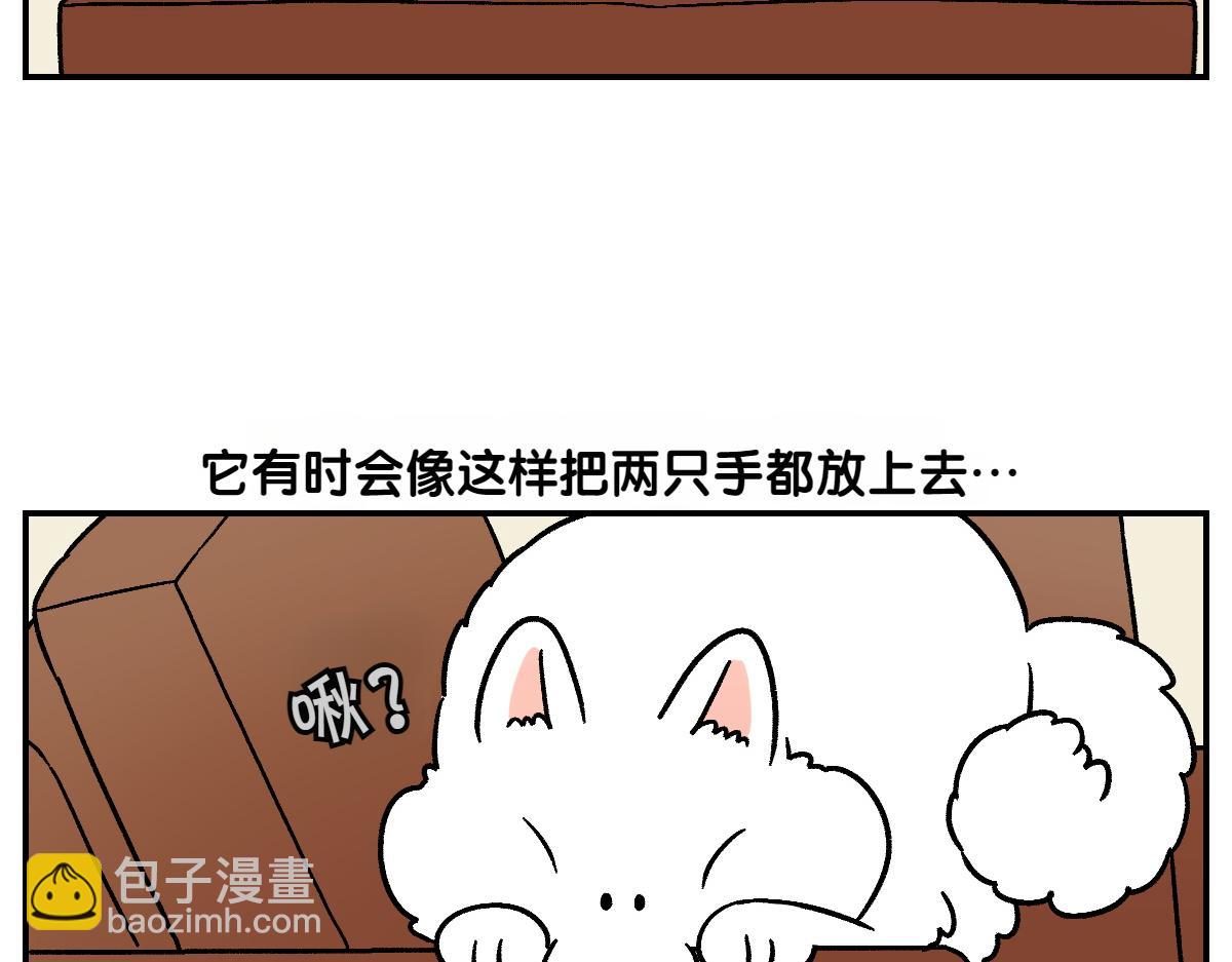 第8话 棉花的专属位置-第76话