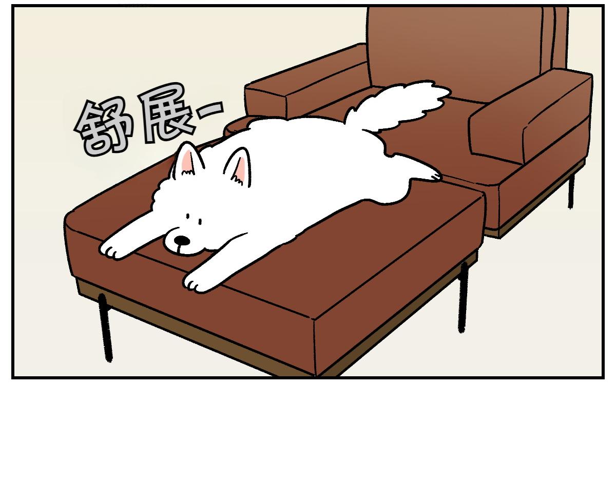 第8话 棉花的专属位置-第76话