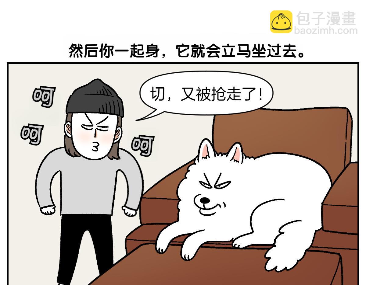 第8话 棉花的专属位置-第76话