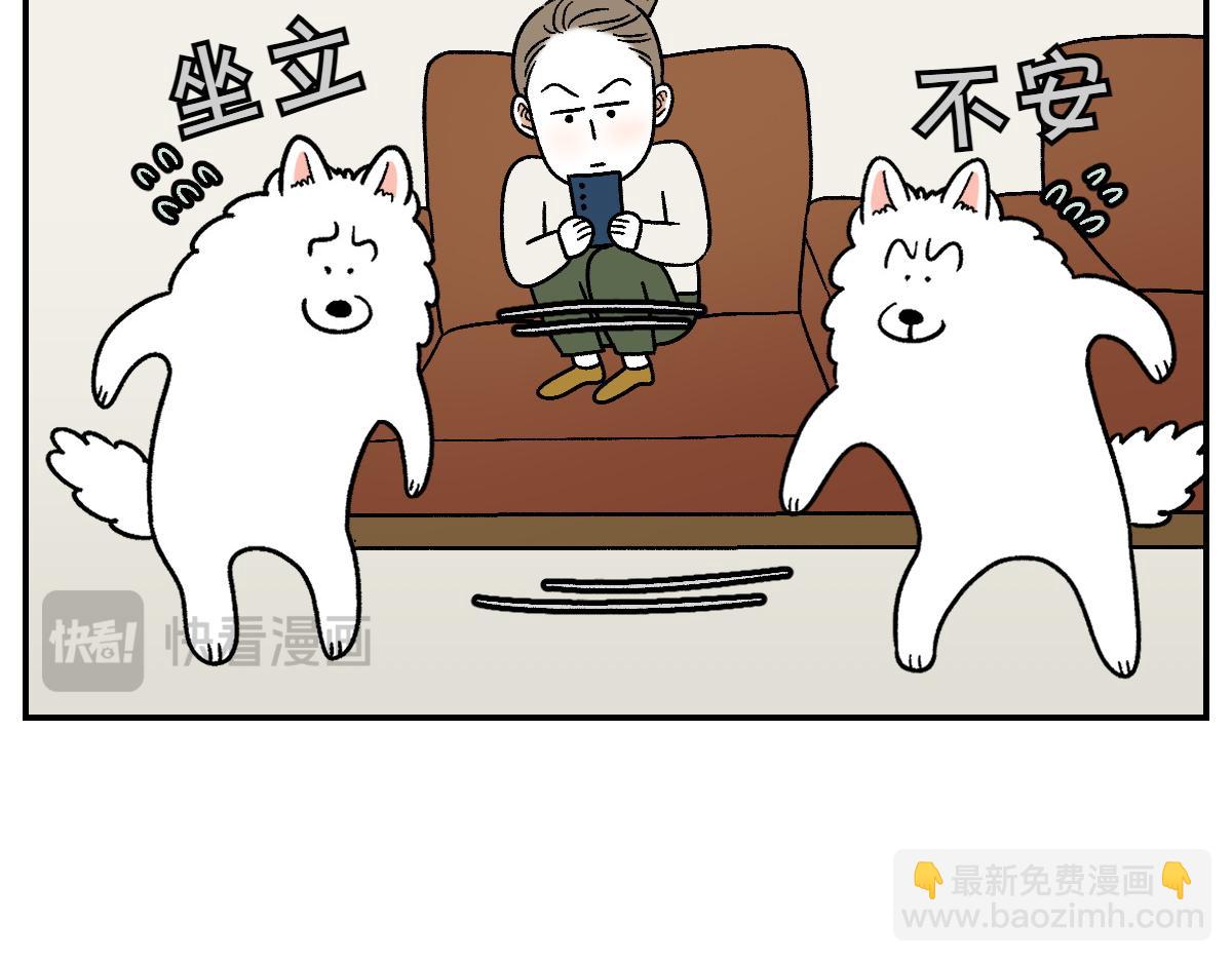 第8话 棉花的专属位置-第76话