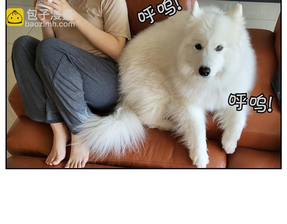 第8话 棉花的专属位置-第76话