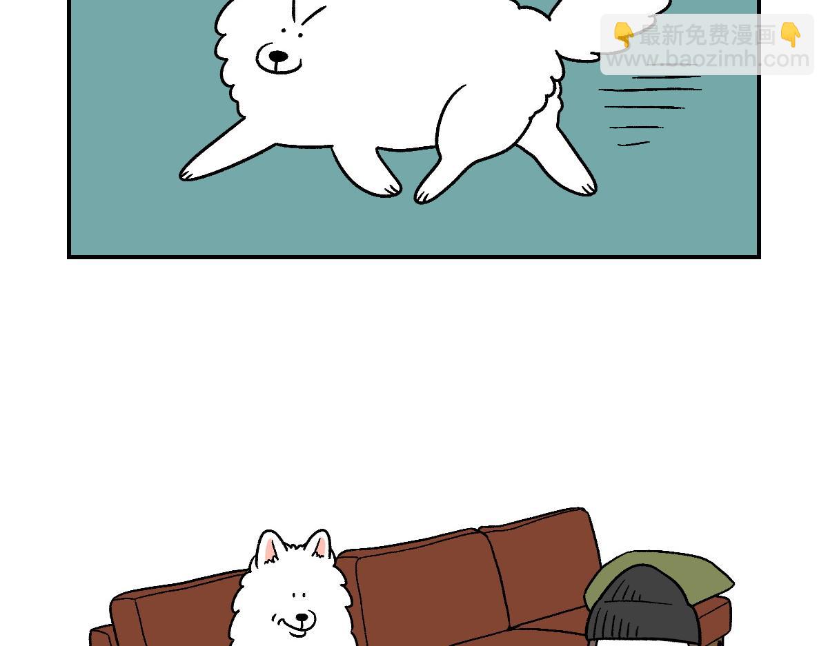 第8话 棉花的专属位置-第76话