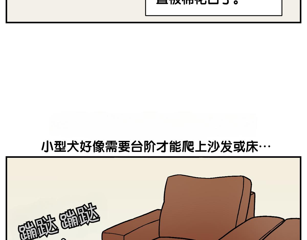 第8话 棉花的专属位置-第76话