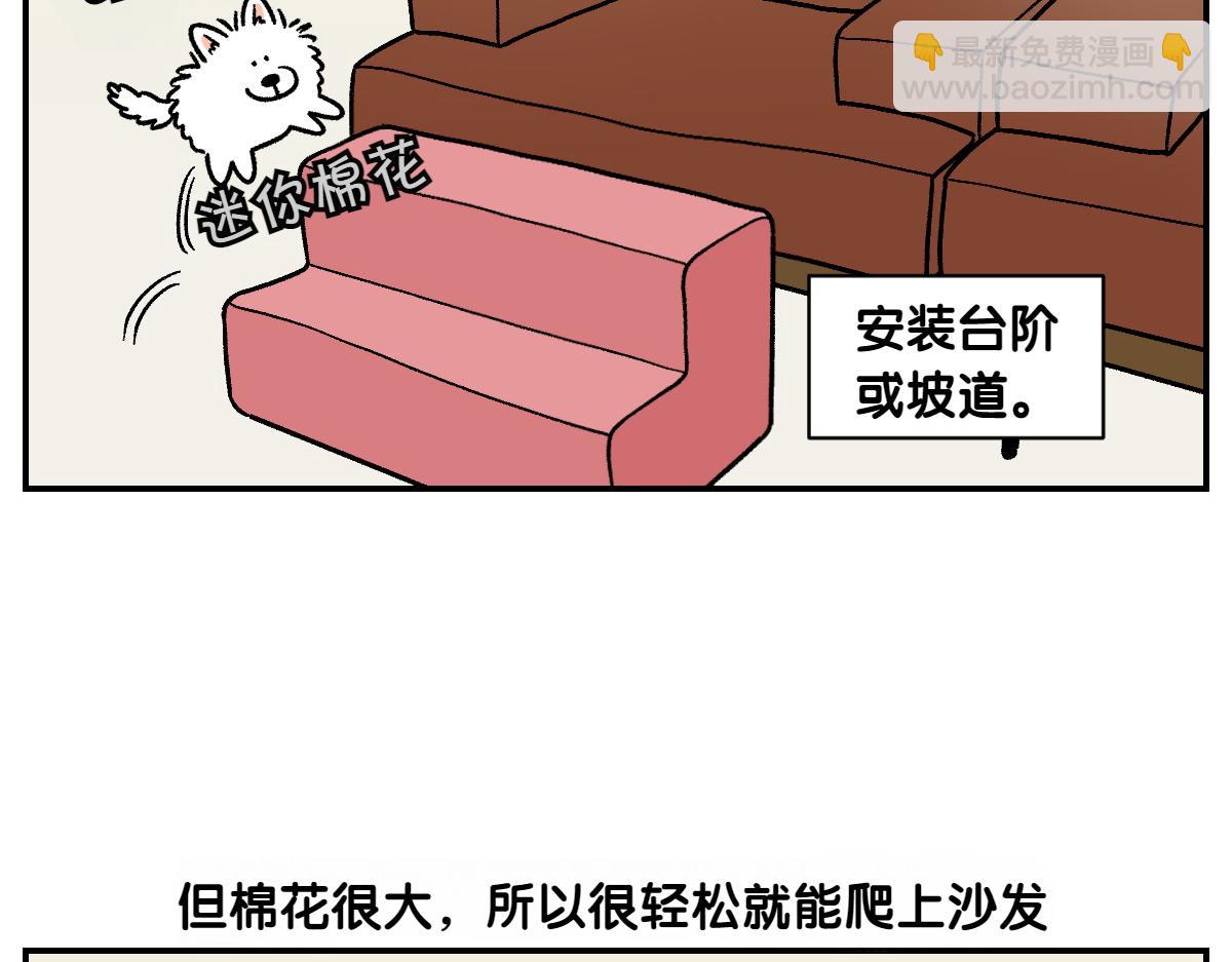 第8话 棉花的专属位置-第76话