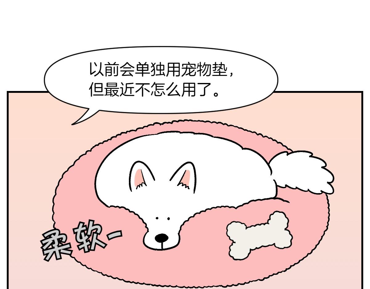 第8话 棉花的专属位置-第76话