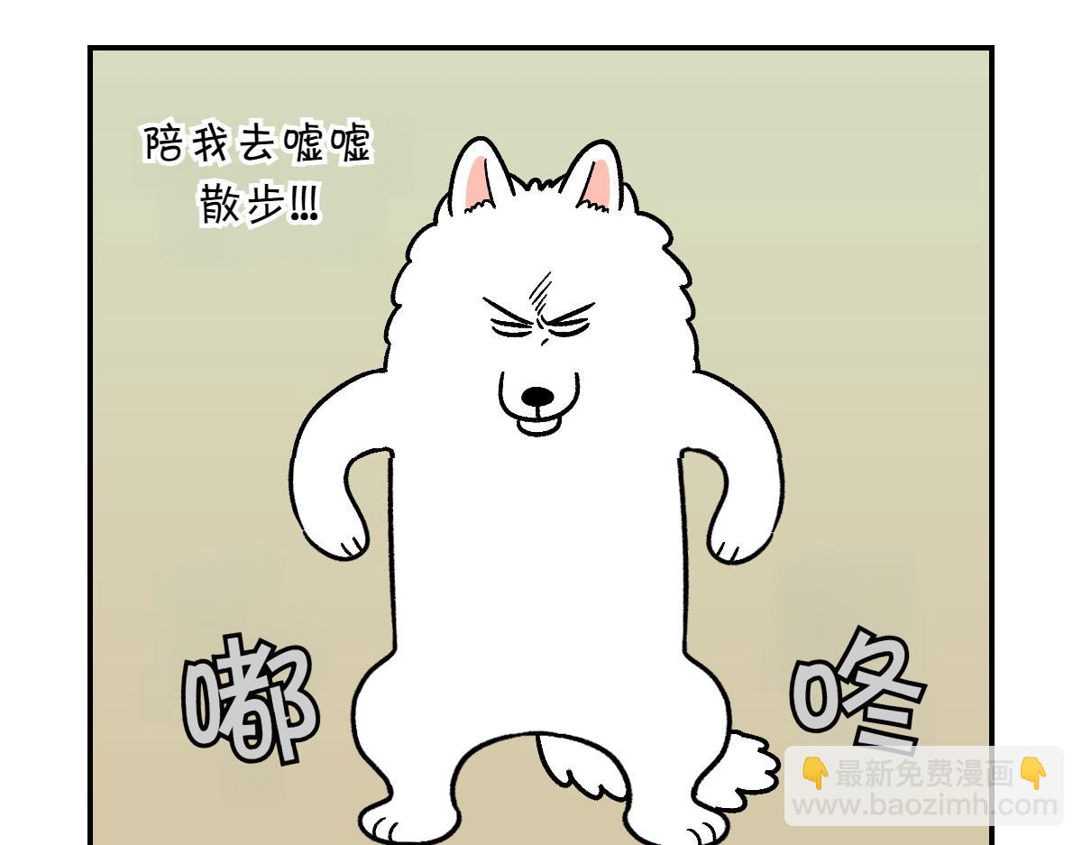 第10话 晚间流程-第78话