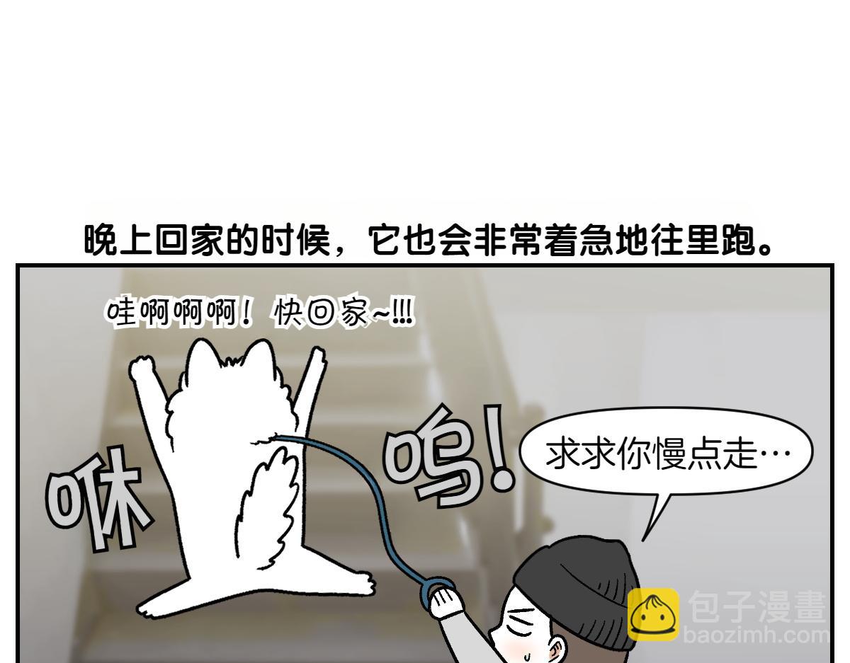 第10话 晚间流程-第78话