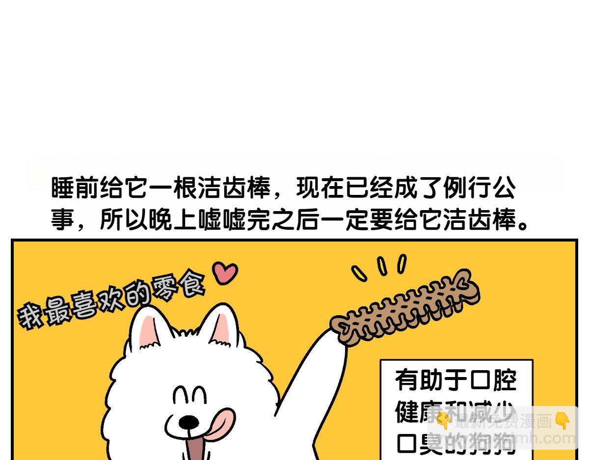 第10话 晚间流程-第78话