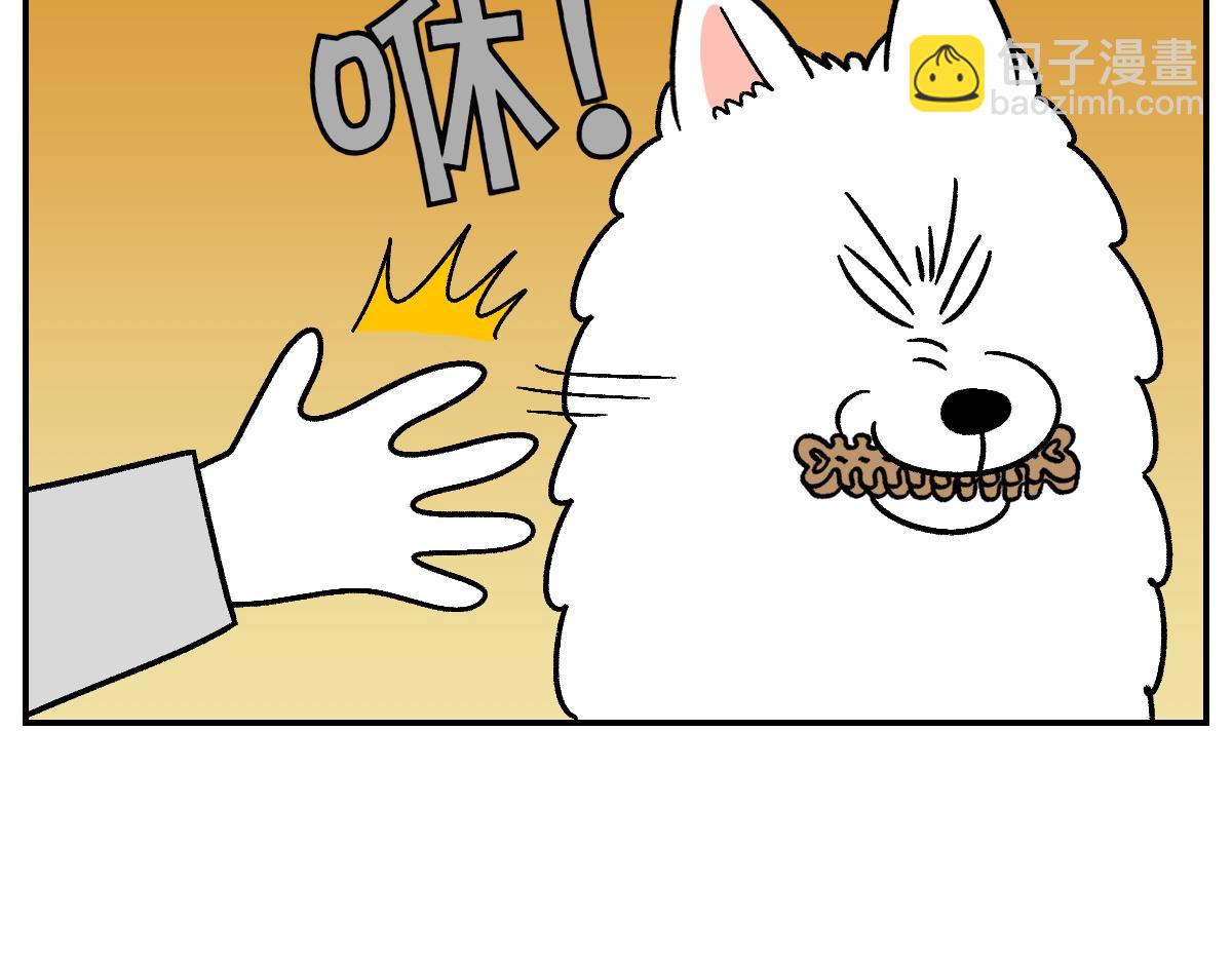 第10话 晚间流程-第78话