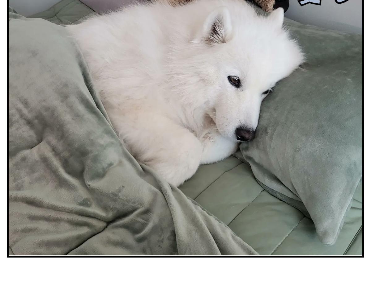 第10话 晚间流程-第78话