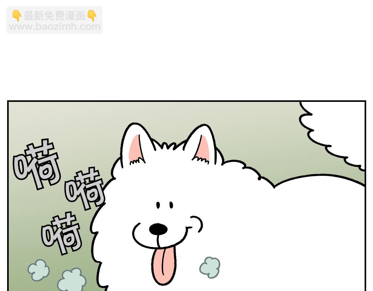 第16话 胖狗狗1-第84话