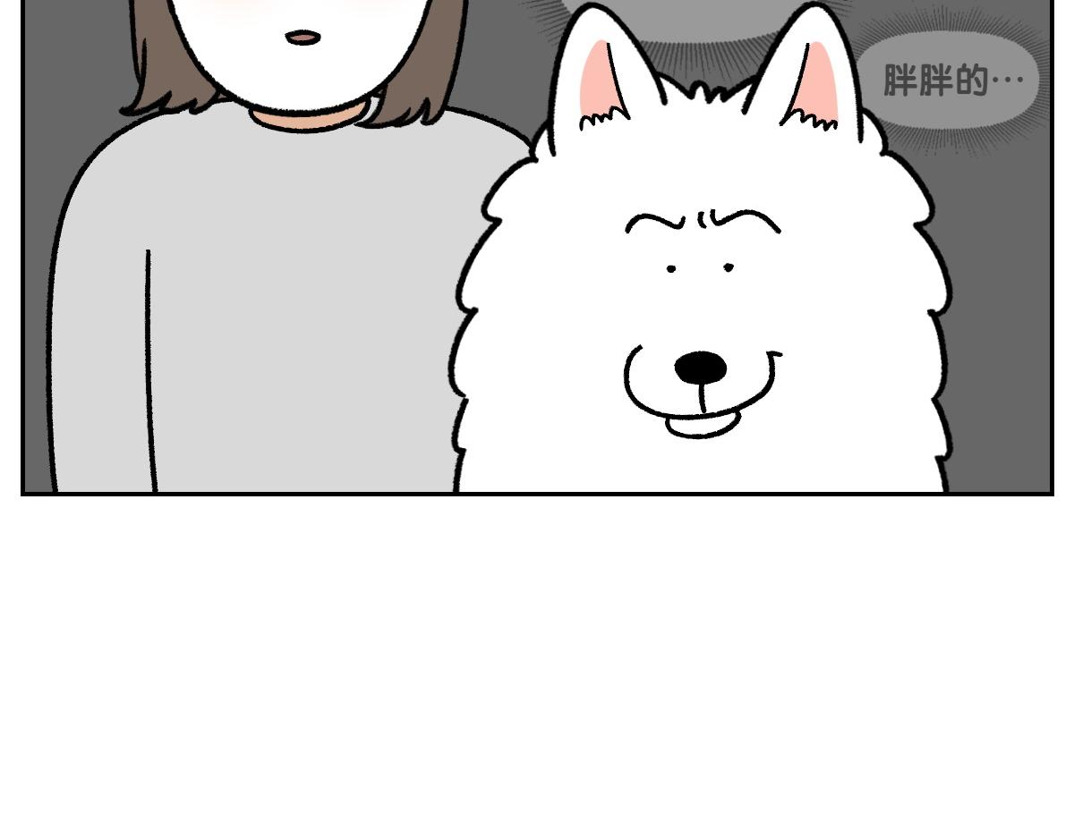 第16话 胖狗狗1-第84话