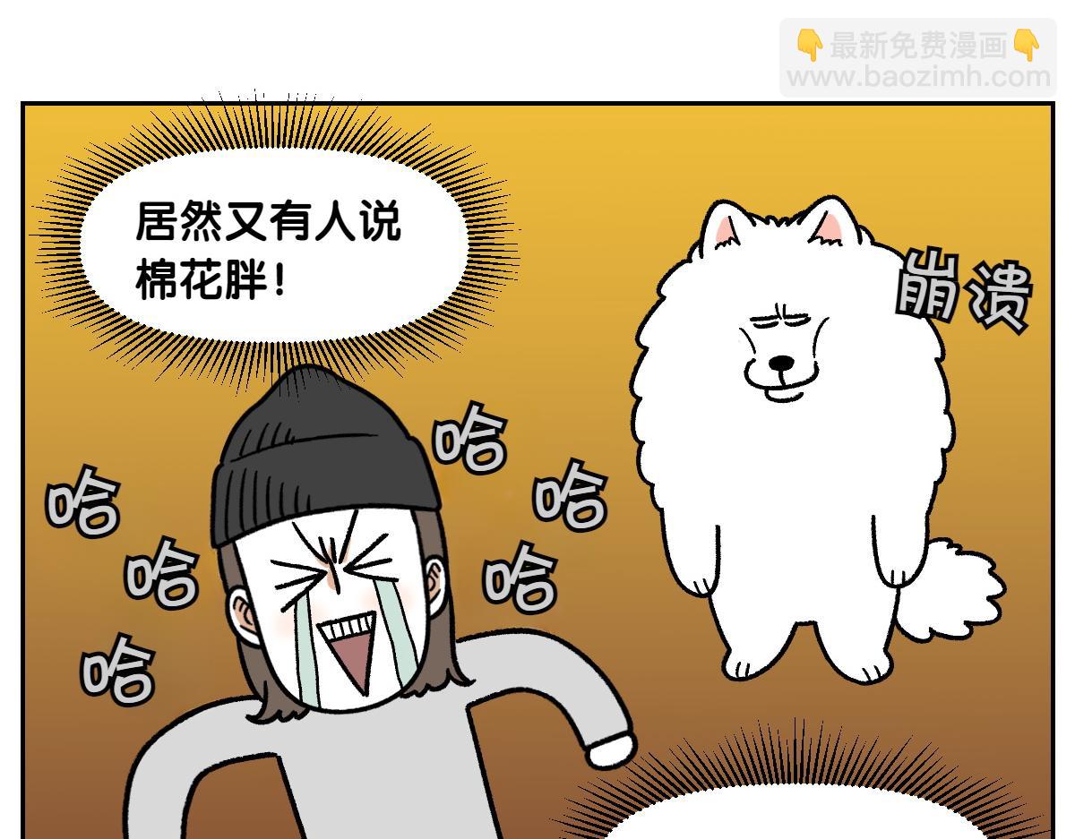 第16话 胖狗狗1-第84话