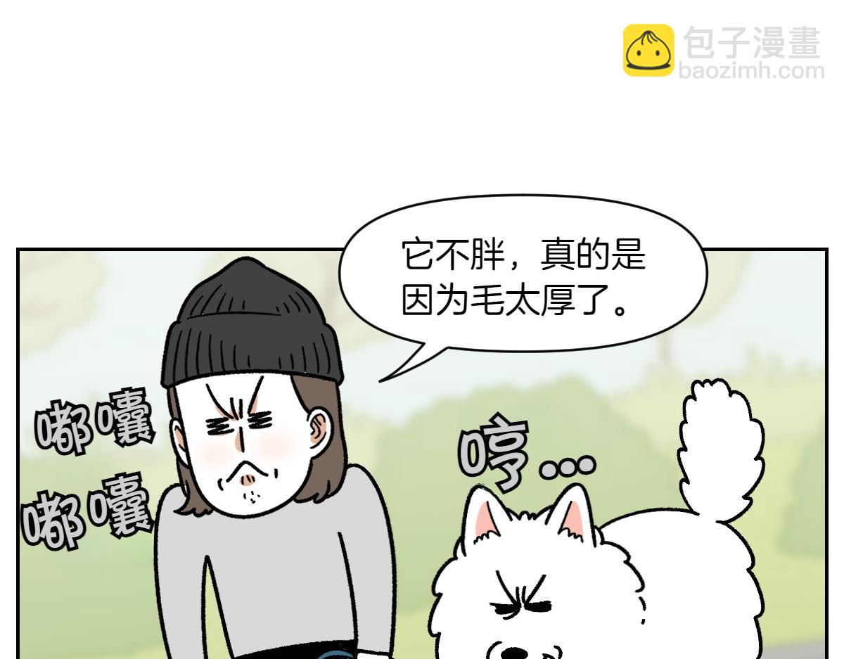 第16话 胖狗狗1-第84话