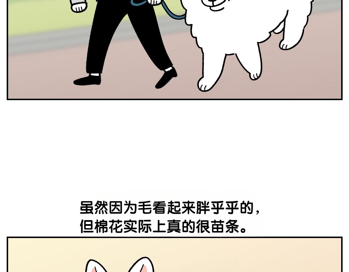 第16话 胖狗狗1-第84话
