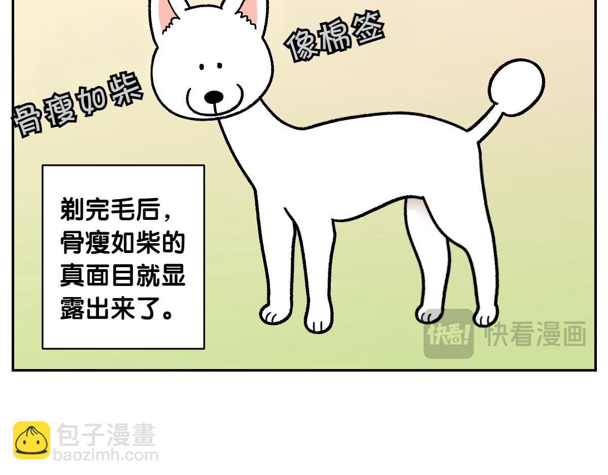 第16话 胖狗狗1-第84话