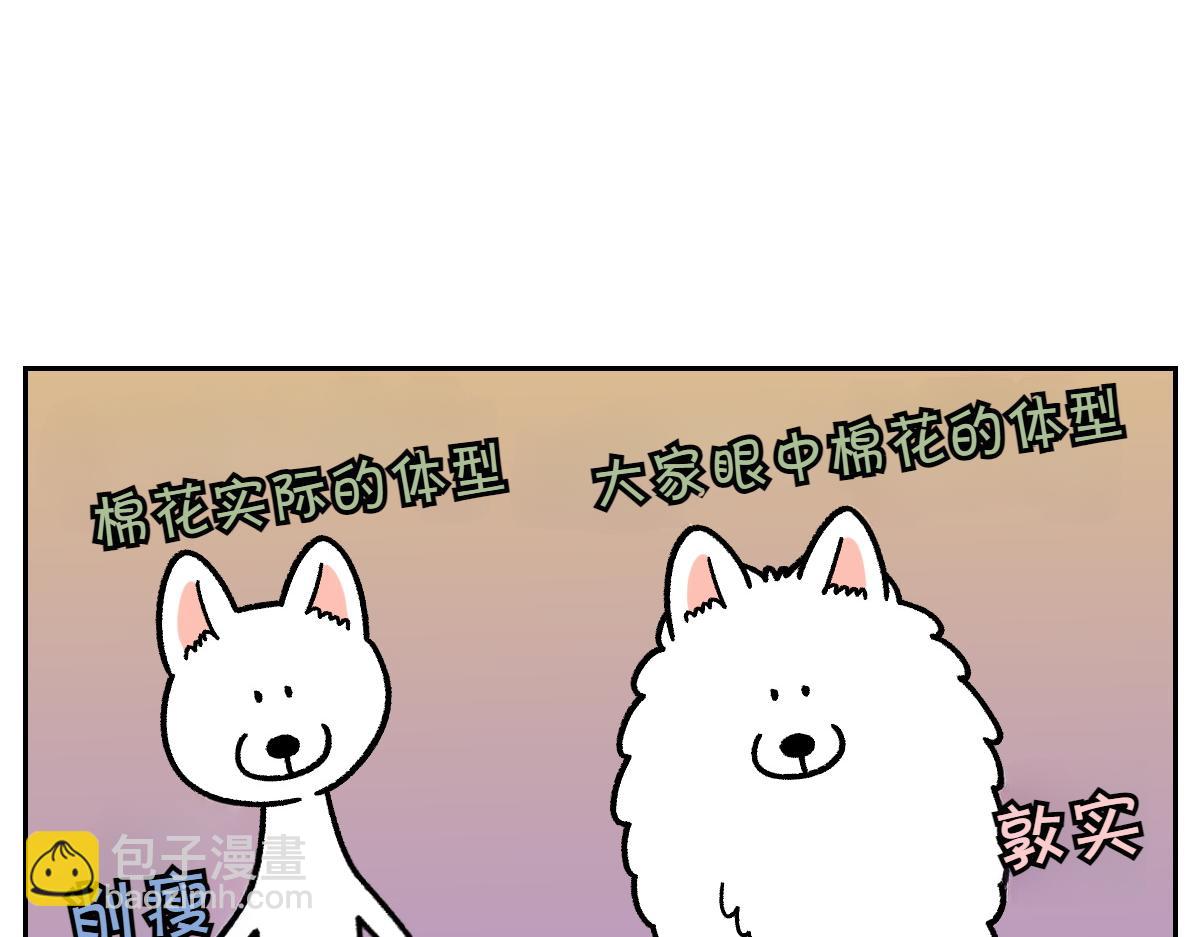 第16话 胖狗狗1-第84话