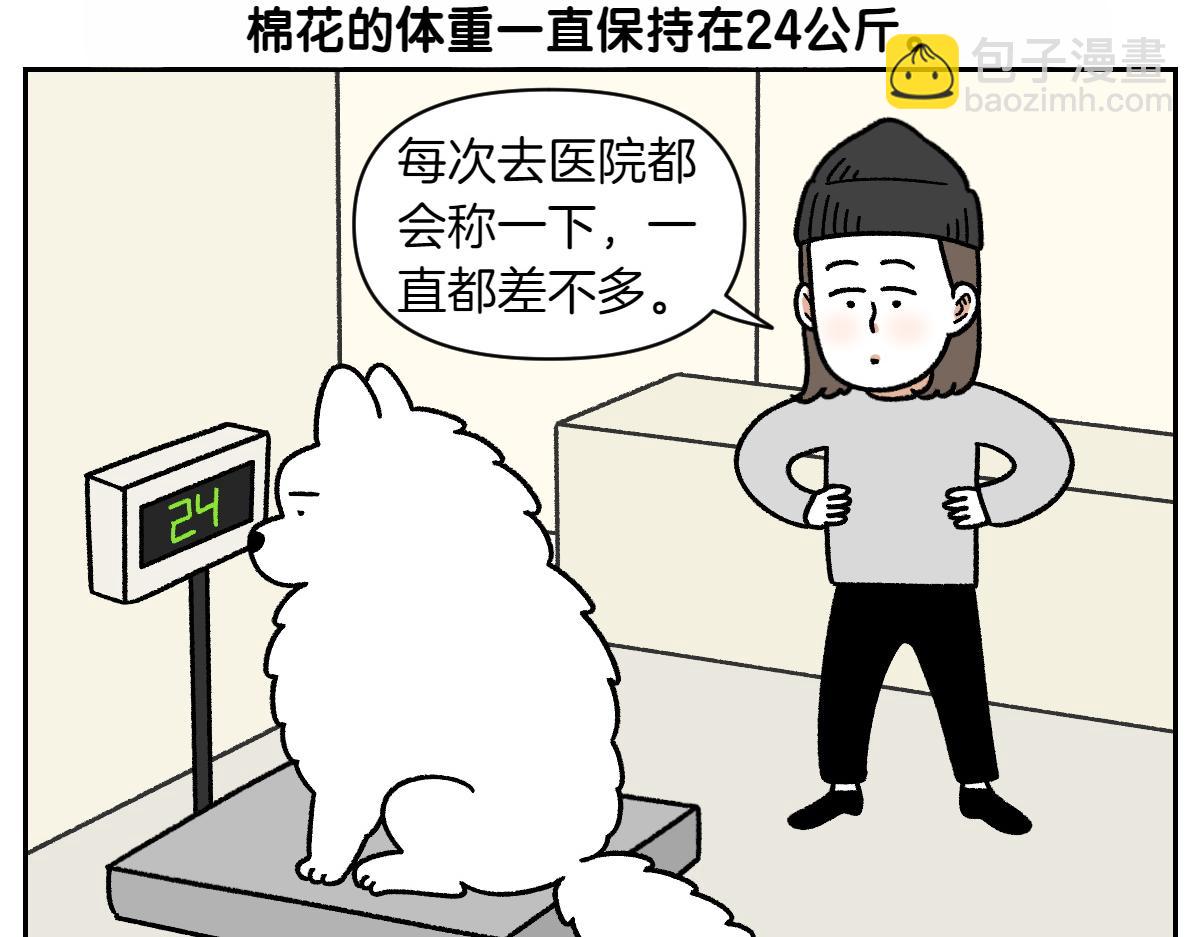 第16话 胖狗狗1-第84话