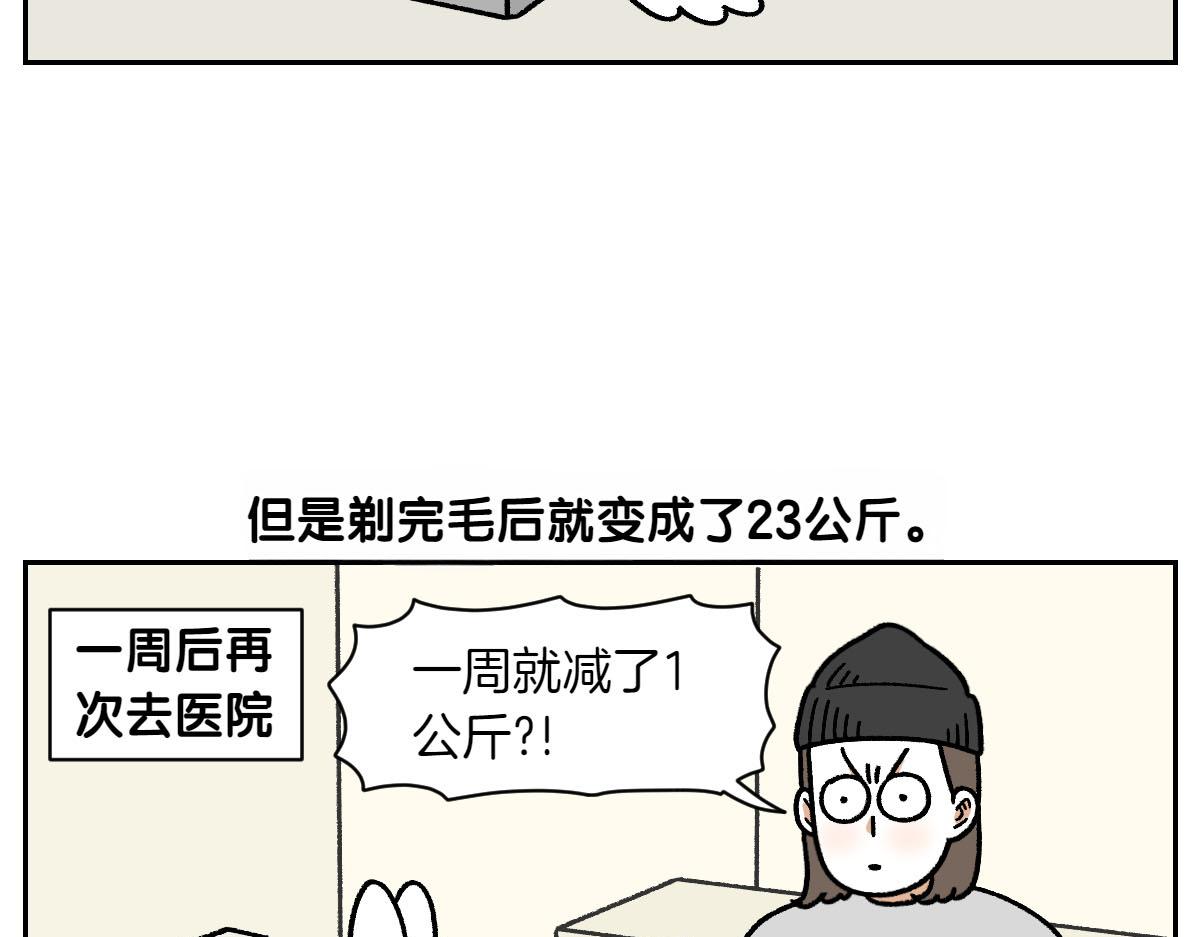 第16话 胖狗狗1-第84话