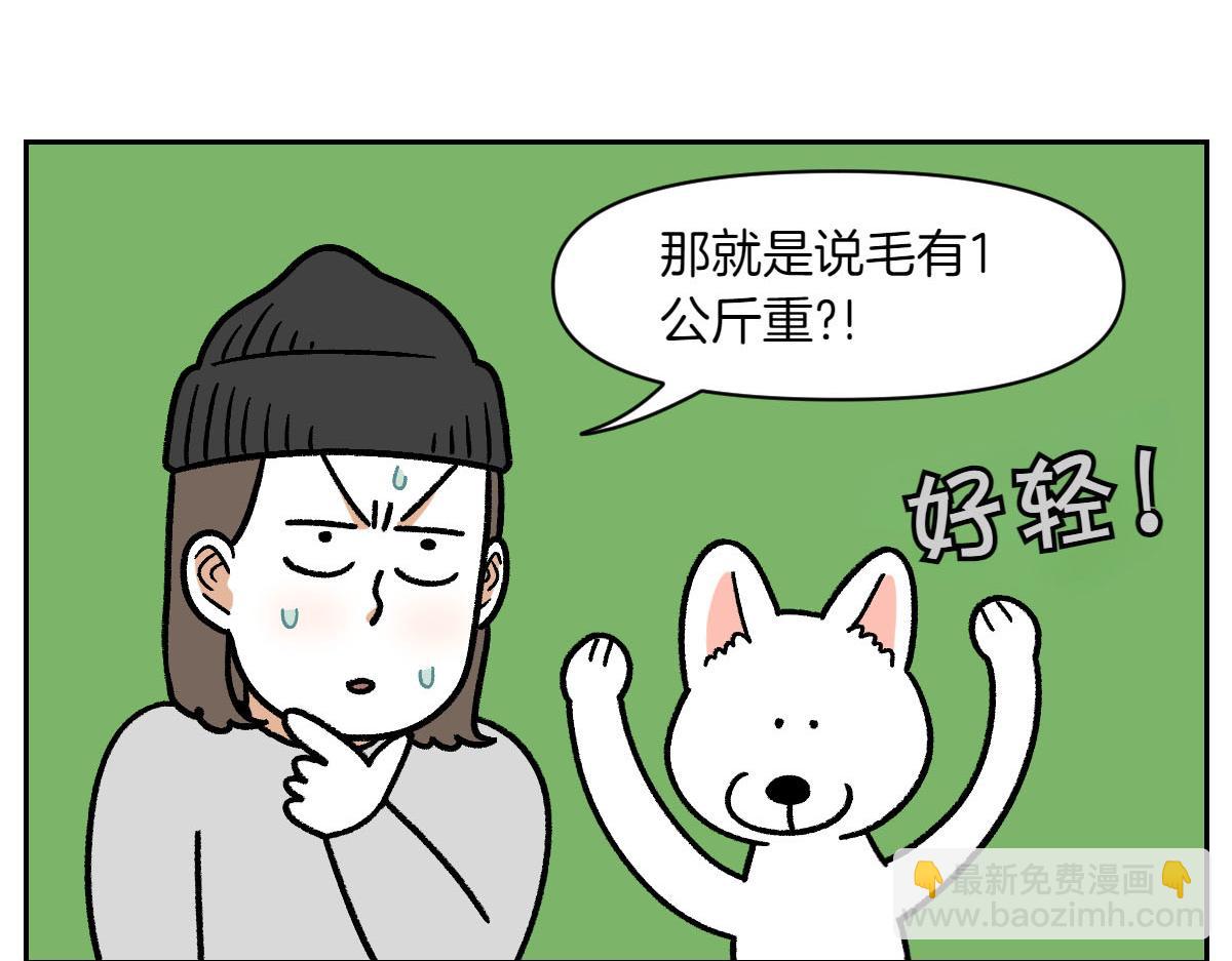 第16话 胖狗狗1-第84话