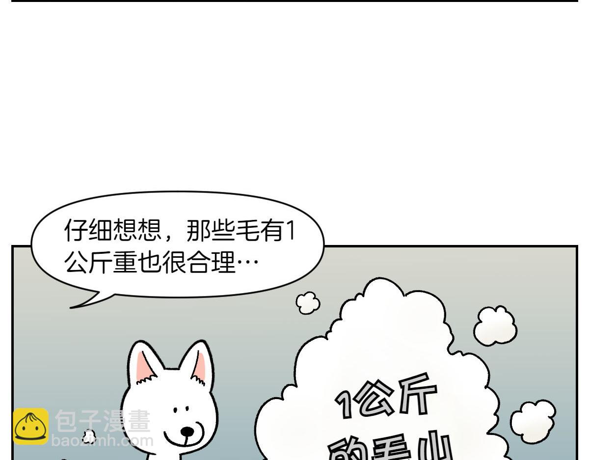 第16话 胖狗狗1-第84话