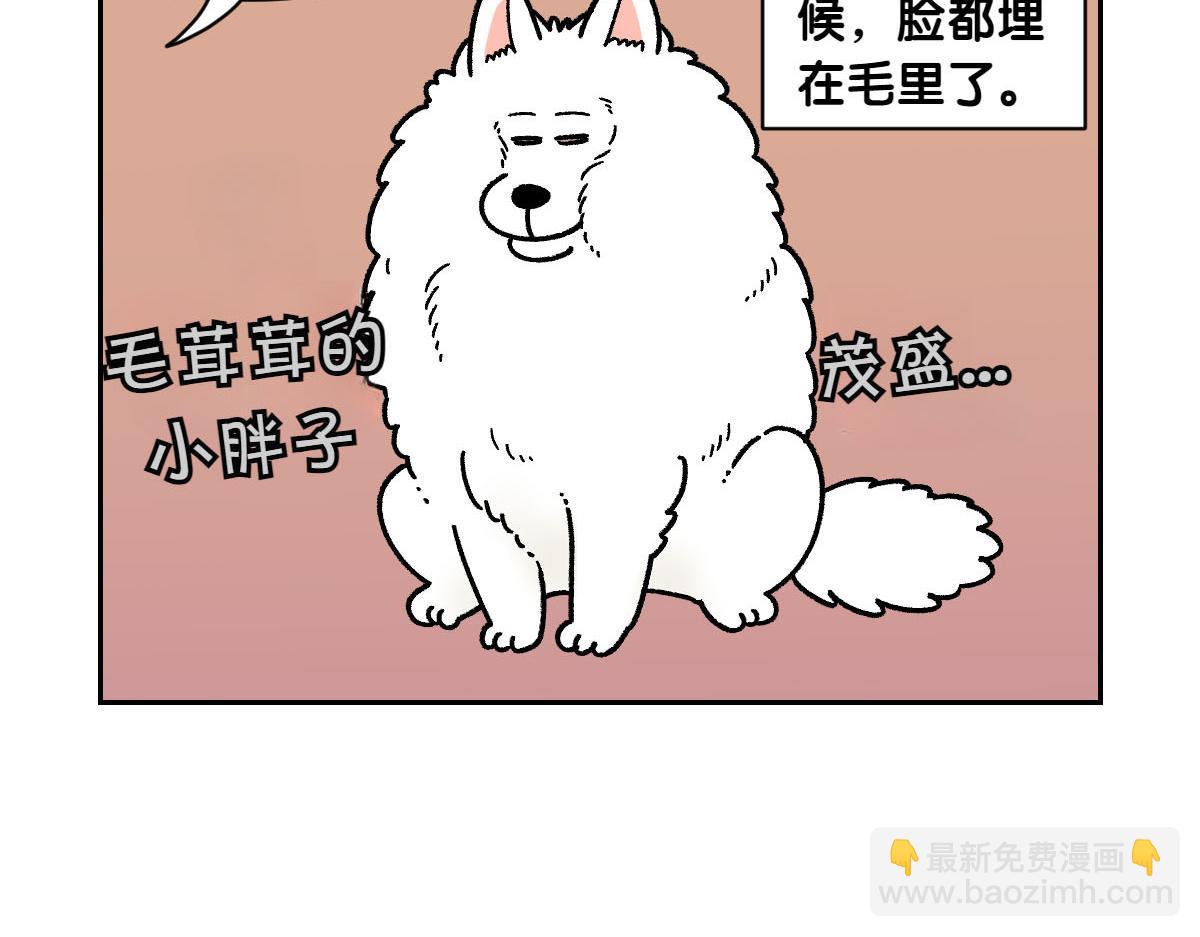 第16话 胖狗狗1-第84话