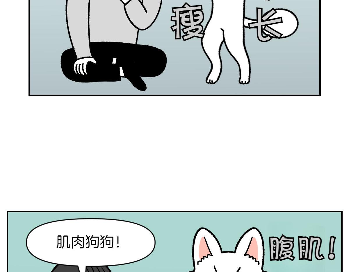 第16话 胖狗狗1-第84话